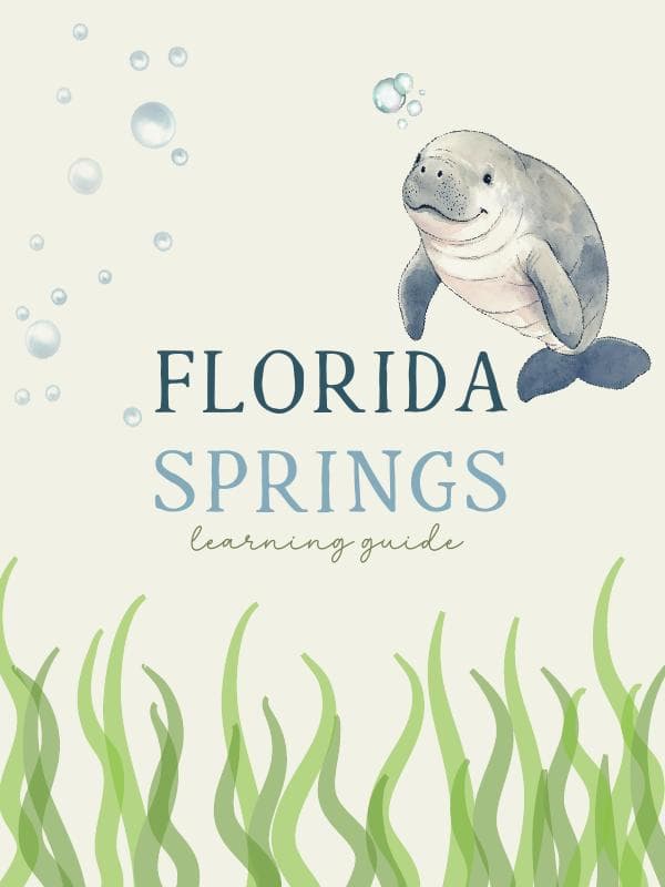 Florida Nature Learning Bundle